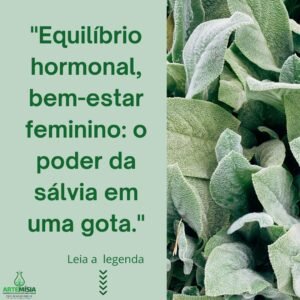 Read more about the article Aliado natural da saúde feminina